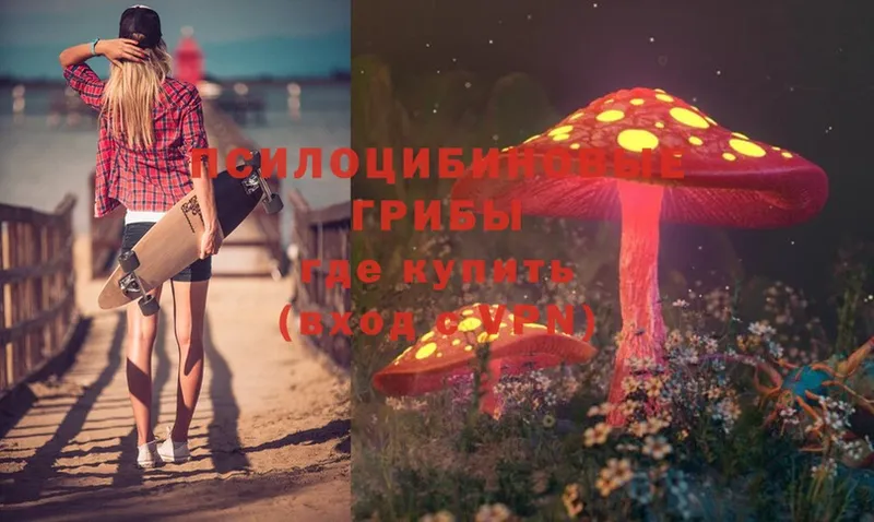 Псилоцибиновые грибы Magic Shrooms  Ставрополь 