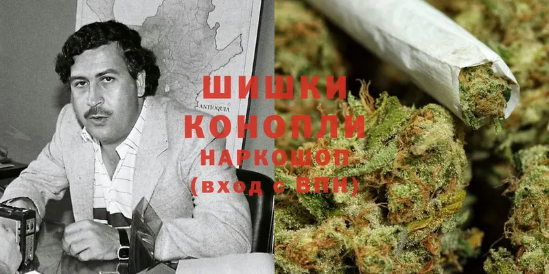 Бошки Шишки индика  купить наркоту  Ставрополь 